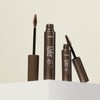 Etude 청순거짓 브라우 카라 대용량 기획세트 (9g + 4.5g) Innocent