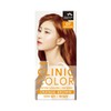Man with a flower Clinic Color O7 Orange Brown for Fashion Colors / 크리닉 칼라 O7 오렌지브라운 패션칼라용