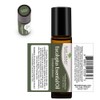 Plant Therapy Eucalyptus Pre-Diluted Roll-On 10mL (1/3 oz) 100% Pure,