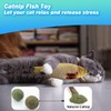 QUVOVID Cat Toys 27 Packs Combo Set, Cat Catnip Fish