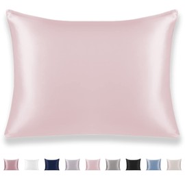 Texbee 100% Mulberry Silk Pillowcase for Hair and Skin with Hidden Zipper, Both Side 23 Momme Silk, Queen Size 1 Pack Gifts for Women Men (50x75CM, Pink)
