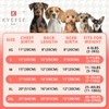 KYEESE- Pijamas para Perros Pijamas para Perros a Rayas Mono