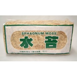 Water Moss Made in New Zealand 150 " Orchid Born With Orchid Platinum Spoon Heron Grass and Flower Pot Vase Orchid Flawless Run Born With Orchid Platinum Spoon 長生 Orchid Gardening