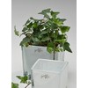 3x Cube Glass Coloured Flower Pot Planter Flower Planter White