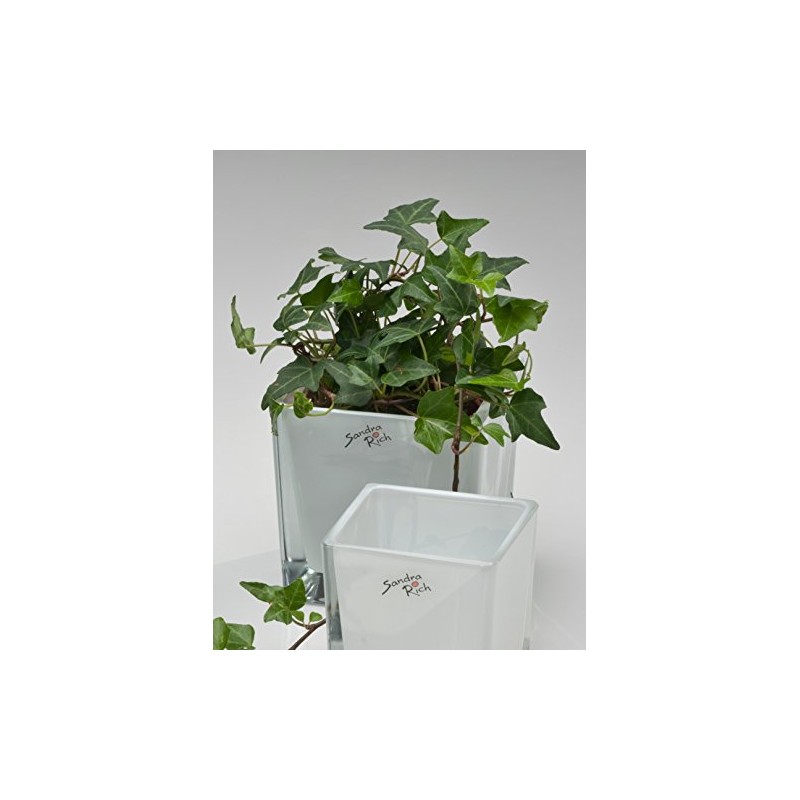 3x Cube Glass Coloured Flower Pot Planter Flower Planter White