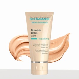 Dr. Schrammek Vlamish Balm BB Cream 40ml Dermatological BB Dewy Skin Moist BB / 닥터 슈라멕 블라미쉬 밤 비비크림 40ml 피부과비비 물광피부 촉촉한비비