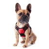 Funfox Dog Harness Small Breed, No Pull Dog Harness Adjustable