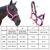 Adjustable Horse Headcollar, Training Halter, Heavy Duty Nylon Padded with