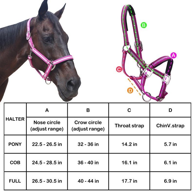 Adjustable Horse Headcollar, Training Halter, Heavy Duty Nylon Padded with
