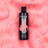 Arctic Fox Arctic Fox Frose 236 Ml