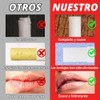 AZEN- Paquete de 60 bálsamos labiales, bálsamos labiales naturales a