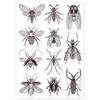 GLOBLELAND Mayfly Insect Clear Stamps Mayfly Insect Decorative Silicone Stamp