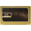 L'Oreal Preference #4 Dark Brown, 1 ct