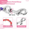 Chain Dog Leash Chew Proof, Metal Chain and Nylon Rope