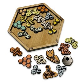 Project Genius EC311 Wooden Puzzle