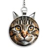 Gotham Decor Beautiful Brown Tabby Cat Shaped Fan/Light Pull Pendant