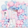 Pink and Blue Balloons Garland Arch Kit - Gender Reveal