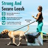 Hands Free Dog Leash with Belt Bag (Black)