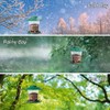 Foldable Bird Feeders for Outside Portable Proof Birds Feeder Hanging