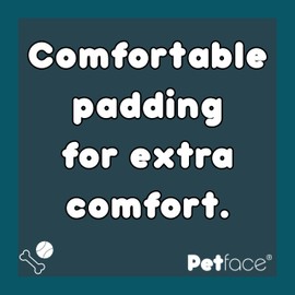 Petface Dog Collar with Paw Print, Small, Grey/Rose