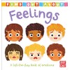 Feelings: A lift-the-flap board book of emotions (Find Out About)