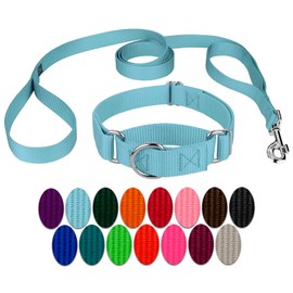 Country Brook Petz - Ocean Blue Martingale Heavyduty Nylon Dog Collar and Double Handle Leash (1 Inch, Extra Large)
