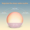 Odokee Sunrise Alarm Clock White Noise Machine: Natural Wake Up