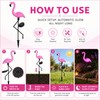 Peacock Solar Garden Light for Outdoor Decor – IP65 LED