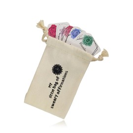 Elkuaie 16 pieces of positive notes with storage bag, encouragement note paper, daily beliefs, self-affirmations, funny gifts, motivational, positive, inspirational gifts for family, friends