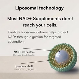 Everlife Suplemento líquido liposomal NAD+ - 150 mg de inyección con trans-resveratrol liposomal, TMG y glicina - Aumenta la energía, la reparación ce