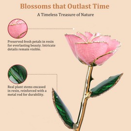 Gold Dipped Hot Pink Roses - Dipped 24K Gold Real Rose - Genuine One of a Kind - Eternal Romantic Present for Her - Ideal for Valentine's Day, Mother's Day, Anniversary, Birthday