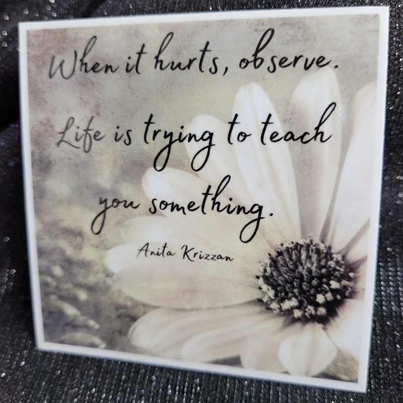 MoonlightJadeArt STKR015 Inspire Motivate Life Quote Sticker - Observe Teaching