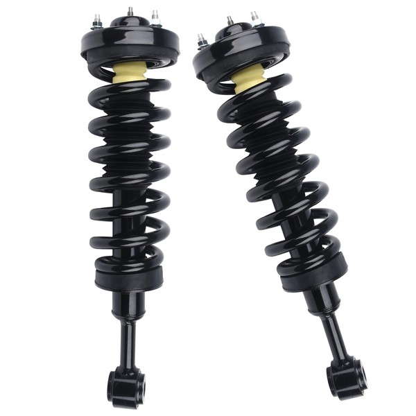 PAROD 171361 Front Shock Absorbers Struts w/Coil Spring Assembly fit