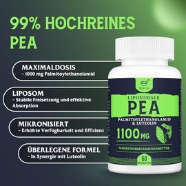 Solavica Liposomales PEA 1100mg C Mikronisiertes Palmitoylethanolamid mit Luteolin C 60 Softgel-Kapseln C Hochdosiert & Modern Formuliert (2er Pack)