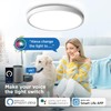 ANTENLICHT ANTENLICHT LED Deckenlampe Smart 24W Kompatibel mit Alexa und