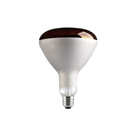 Other INTELEC HARD GLASS INFRA-RED BULB 250W, TSK0215