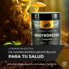 Nootrópicos BPN PRO con Melena de León y Omega 3