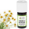 German Chamomile Essential Oil (Organic)