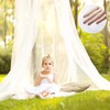 ZD Trading 2581689 Mosquito Net for Bed, Large Single and