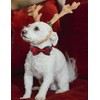 DOGWONG Christmas Dog Collar with Bow tie, Red Plaid Dog
