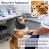 IECOii Dog Ear Muffs No Shake Ear Wrap for Hematoma,Pet