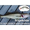 Wobbler Jerkbait 150 MM Rotauge fishing for PIKE BASS Zander