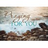 Greeting Cards Assortment Box - Faithful Prayers (NIV) - Praying