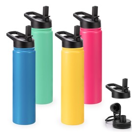 Insulated Water Bottle Bulk, 4 Pack 24oz Water Bottles Straw & Spout Lid, Double Wall Stainless Steel, Appreciation Gift for Teacher Nurse Sports Travel Fitness Outdoor, Mixed Color Set
