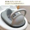 Eiwa Toilet Seat with Handle Gray 1 Piece (x1)