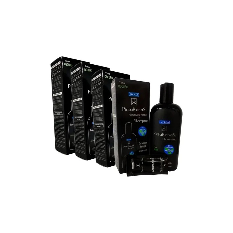Shampoo Pintakanas 4 Piezas Sin Peroxido Ni Amoniaco