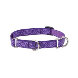 LupinePet Originals 3/4" Jelly Roll 14-20" Martingale Collar for Medium and Larger Dogs