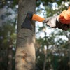 KSEIBI Wood Axe, Small Outdoor Camp Hatchet for Splitting and