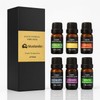 Bluelander Set de 6 Aceites Aromáticos para Difusor, Set de