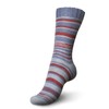 Regia Pairfect Sock Yarn (Stripeway Color 2297 - Jeans-Sky-Brick)